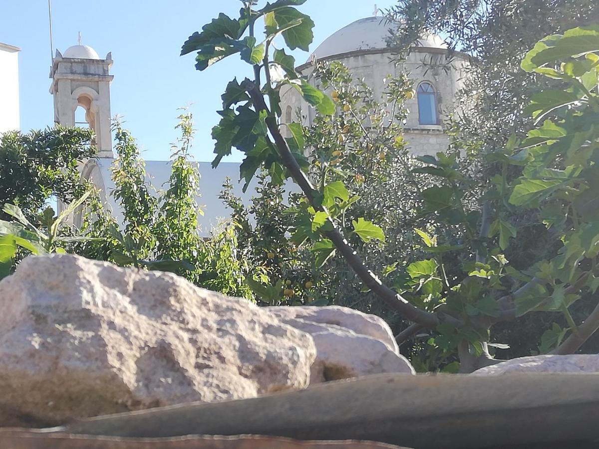 Гостевой дом Kaizer Agrotourism Amargeti Экстерьер фото